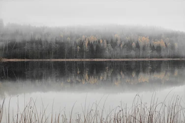 Tåget efterårssø
