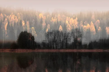 Tågede efterårsrefleksioner