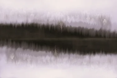 Tåget birk i spejlbilledet
