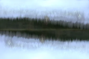 Tåget birk i spejlbilledet