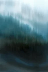 Den tågede blå skov