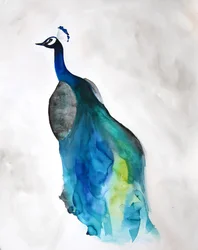 Elegant blå påfugl
