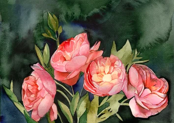 Lyserøde akvarelblomster