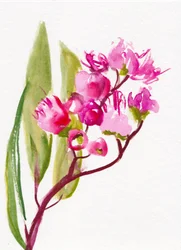 Levende lyserøde blomster