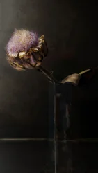 Stemningsfuld artiskokblomst