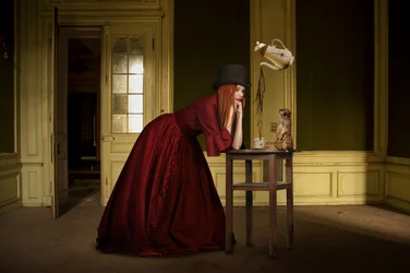 Elegant Woman Meerkat-te