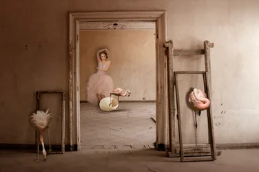 Flamingo-balletdrømmen