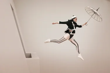Harlekins fantasifulde flyvning