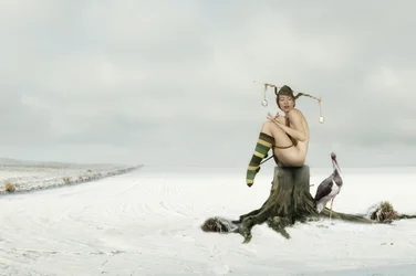 Nøgen nar i vinterlandskab