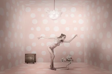 Lyserød flamingo-danser med prikker