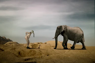 Et surrealistisk møde i ørkenen