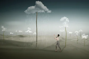 Surrealistisk ørkenregn