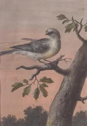 En fugl på en gren, (gouache), (se også 60075)