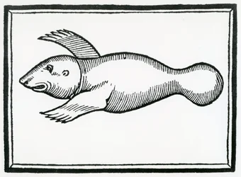 En fisk kaldet 