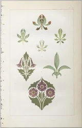 The art of decorative design : med et appendiks, der angiver de timer på dagen, hvor blomsterne åbner sig, udgivet af Day & Son, London, 1862
