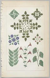 Kunsten at dekorativt design: med et appendiks, der angiver de timer på dagen, hvor blomsterne åbner, udgivet af Day & Son, London, 1862