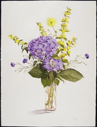 Blå hortensia med gule løsstriber (wc)