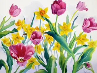 Påskeliljer og tulipaner (akvarel på papir)