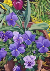 Urtepotter med stedmoderblomster, 2007 (wc på papir)