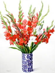 Rød og hvid Gladioli (akvarel på papir)