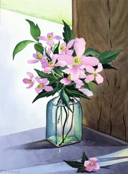Stilleben Pink Clematis (akvarel på papir)