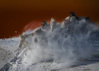 White Horses Blizzard