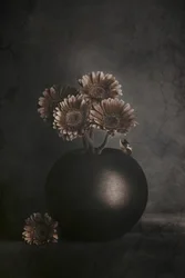 Mørke blomster med frø