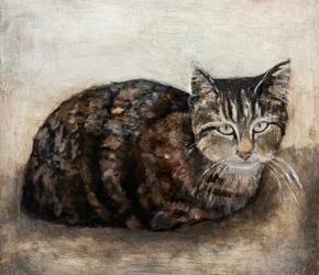 Den nysgerrige tabbykat