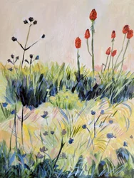 Farverige sommerblomster