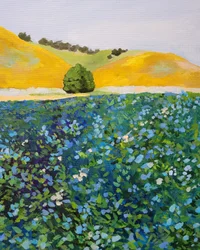 Et farvestrålende blåt blomsterfelt