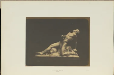 Fuld faun