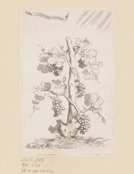 vinstokke