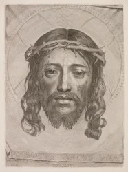 Veronikas svededug