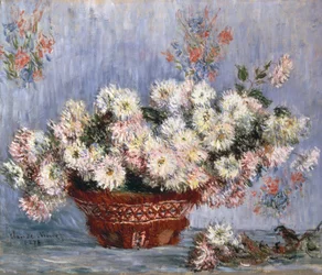 Krysantemum, 1878