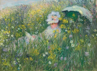 På engen, 1876