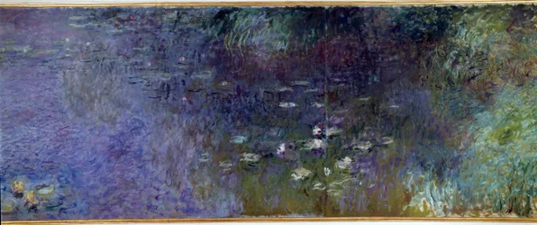 Åkanderne: morgen. Detalje. Maleri af Claude Monet (1840-1926), 1914-1926. Diptykon på 2 x 3 m hver del. Paris. Musée de l