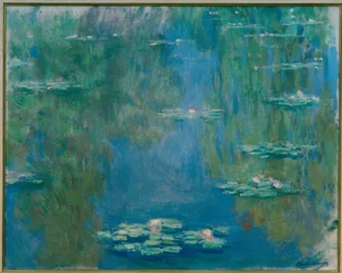 Nymfeer