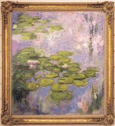 vandliljer