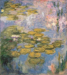 Åkander, 1916-19