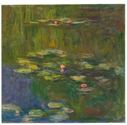 Åkandedammen, 1919