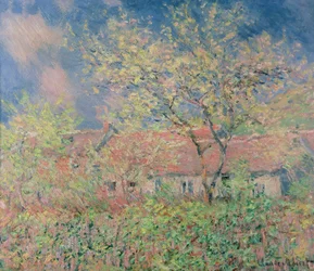Ukendt billede
