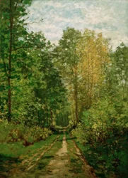 Skovsti