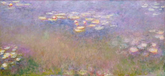 Vandliljer