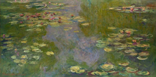 Åkander, 1919