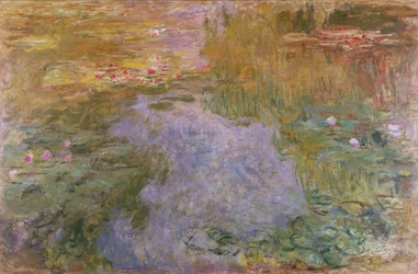 Åkander, 1919