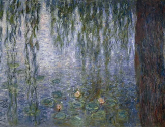 Vandliljer, af Claude Monet, detalje