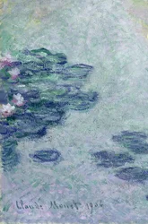 Vandliljer