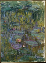 Vandliljer
