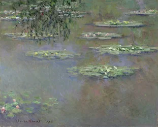 Åkander, 1903