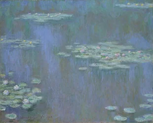 Åkander, 1905